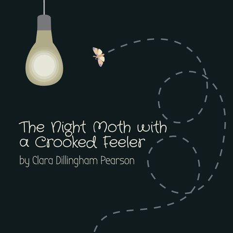 The Night Moth With a Crooked Feeler by Clara Dillingham Pearson