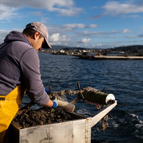 Breves de actualidad: Los pescadores reclaman al Gobierno bajar el IVA a los productos pesqueros