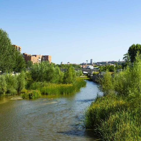 Renaturalización del Río Manzanares, con Santiago Martín Barajas | Actualidad y Empleo Ambiental #87