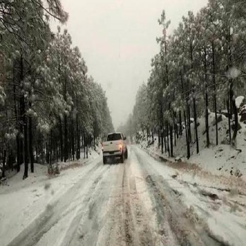 Cierran 12 tramos carreteros en Chihuahua por intensa nevada