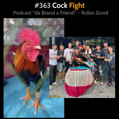 #363 - Cock Fight