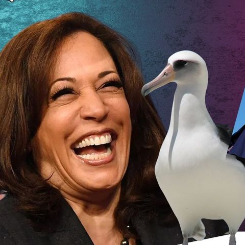 The Democrats’ Kamala Albatross More Questions Rise Over Trump Assassination Attempt