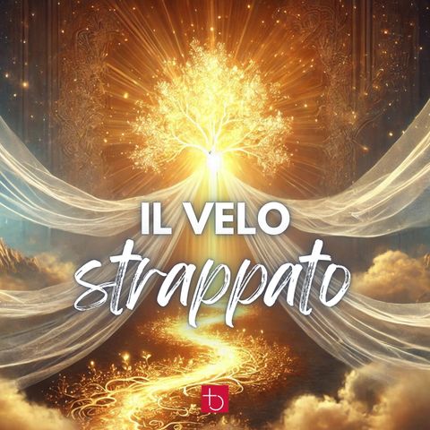 Il velo strappato/The torn veil | E. Taliento