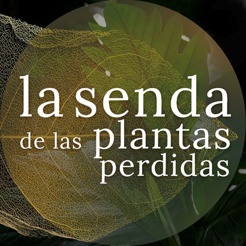 Los frutos de las diez mil islas: Artocarpus spp.