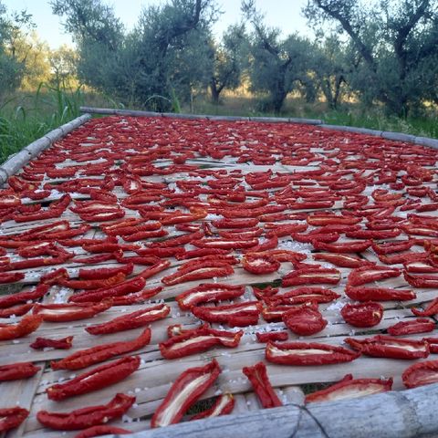 L'antica tradizione dei pomodori secchi