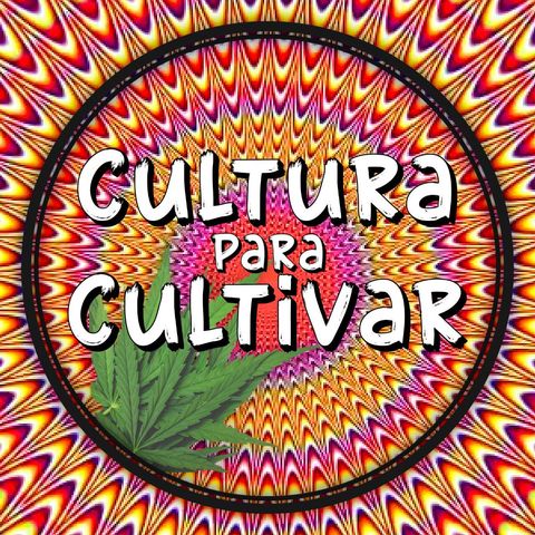 La Cultura en el Movimiento Cannábico Mexicano