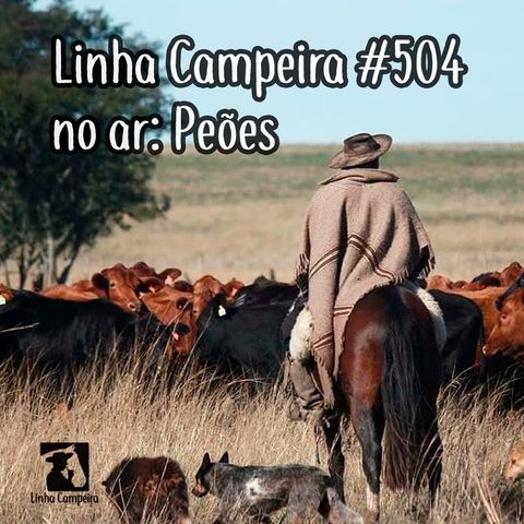 Episódio #504 - Peões