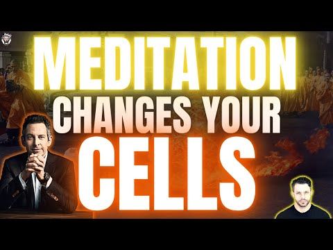 How Meditation Changes You