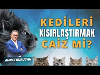 Kedileri Kısırlaştırmak Caiz Midir   AHMET KURUCAN