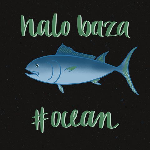 #ocean_Halo baza 17_Ciemne strony rybołóstwa