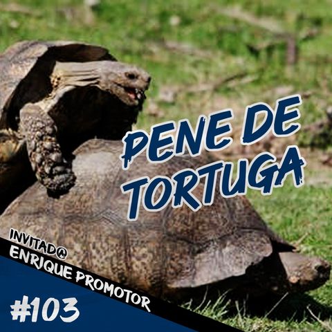 Episodio 103 - Pene De Tortuga