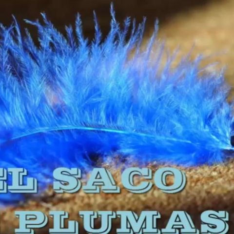 El saco de plumas / Reflexiones cristianas