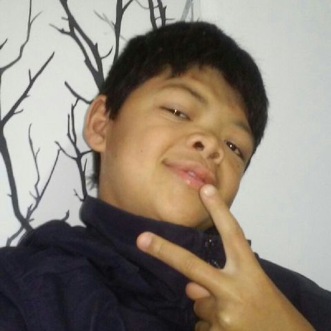 Noce