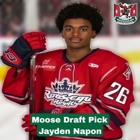 Halifax Mooseheads Draft Pick Jayden Napon