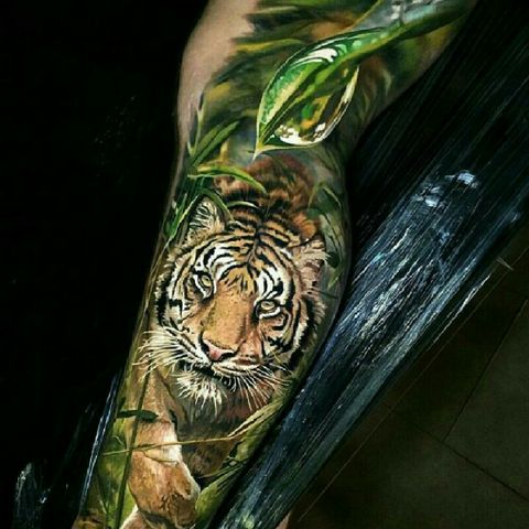 Brayan