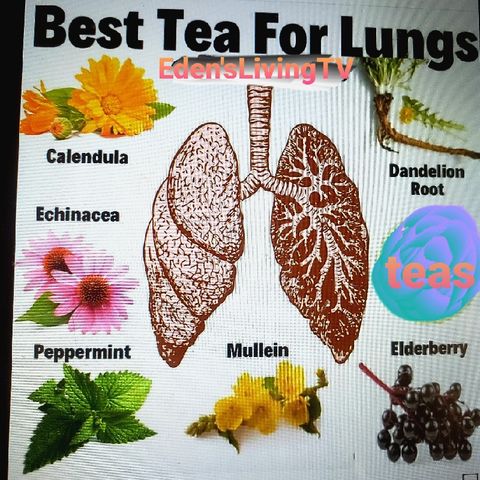 Best TEAS for LUNG HEALTH