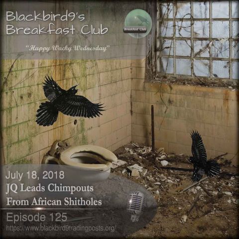 JQ Lead Chimpouts From Africa - Blackbird9 Podcast