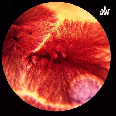 Staphylococcus saprophyticus