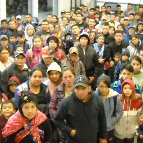 Border Patrol nabs 'largest group' of illegal immigrants yet near US-Mexico border #MagaFirstNews W/@PeterBoykin