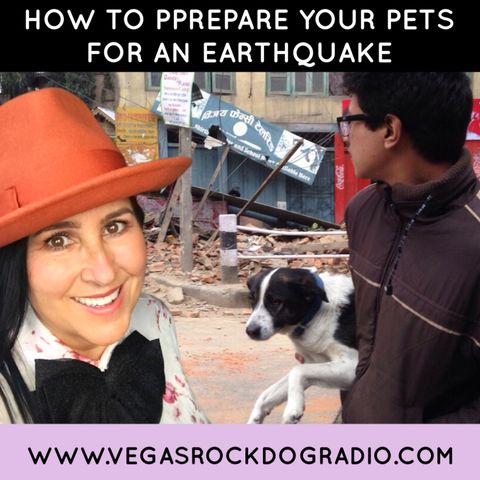 How To Prepare Your Pets For An Earthquake