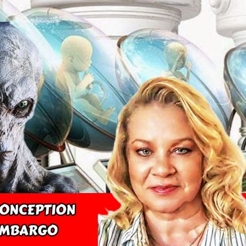 Invisible Predators - Conception of Evil - The Devil's Embargo | Karin Wilkinson