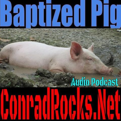 Baptizing Pigs