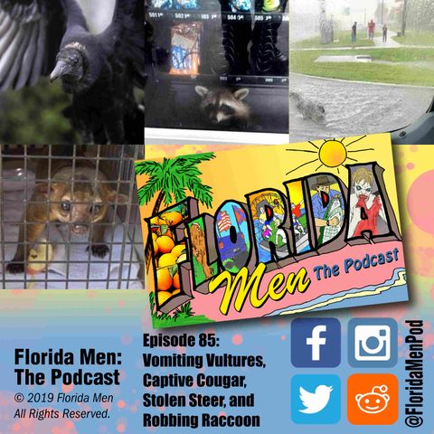 E085 - Vomiting Vultures, Captive Cougar, Stolen Steer, and Robbing Raccoon