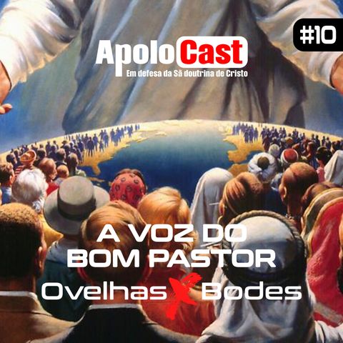 Apolocast #10: A voz do bom pastor - ovelhas vs bodes