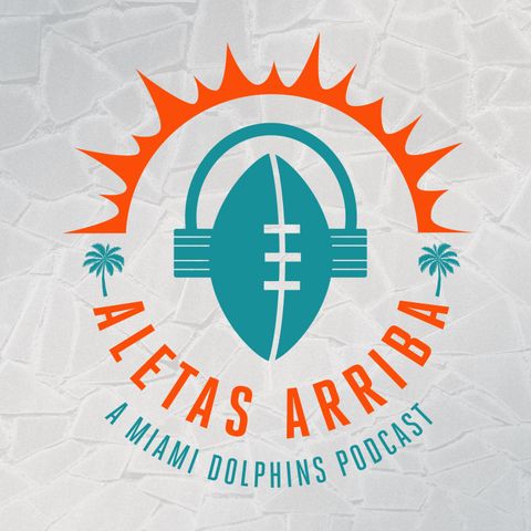 Dolphins Draft 2024