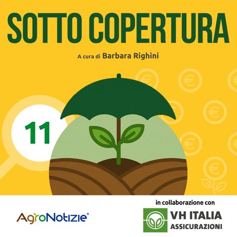 Quei ‘però’ da considerare