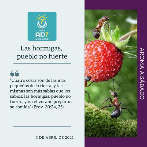 3 de abril - Las hormigas, pueblo no fuerte - Devocional de Jóvenes - Etiquetas Para Reflexionar