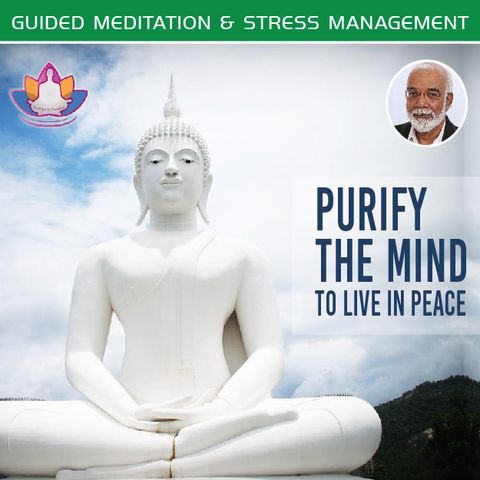 Meditation-4 Purify the mind and remove anxiety
