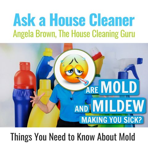 Things You Should Know about Mold & Mildew
