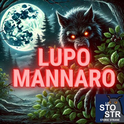 S03E21 - Lupo mannaro