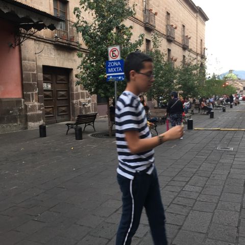 El leon