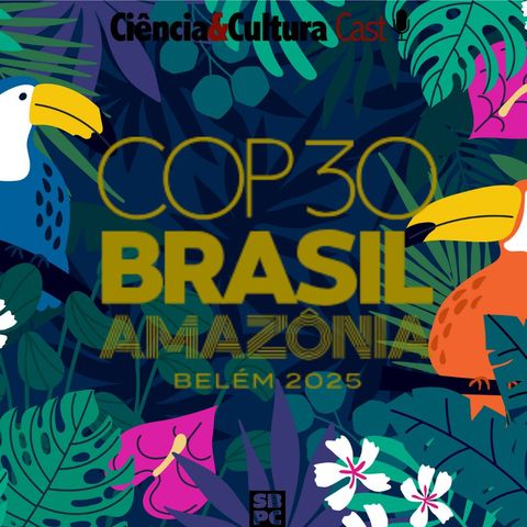 COP 30: Resultados e desafios