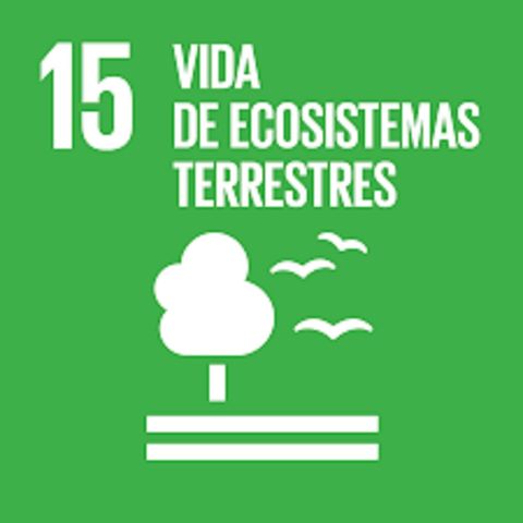 15. Vida de ecosistemas terrestres