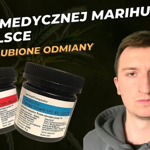 #97 TOP 3 medycznej marihuany w Polsce ｜ Moje ulubione odmiany