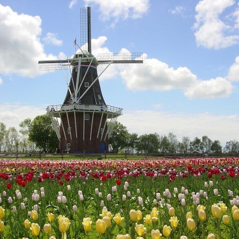 BTM: Learn about Holland's Windmill Island Gardens (April 10, 2016)