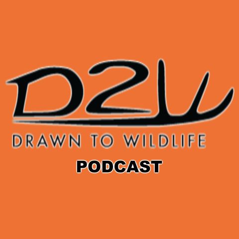 Crappie Bluegill Red Ear and Turkeys Podcast