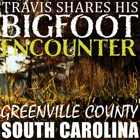 BIGFOOT ENCOUNTERS AND EXPERIENCES FROM GREENVILLE/SPARTANBURG COUNTY SOUTH CAROLINA