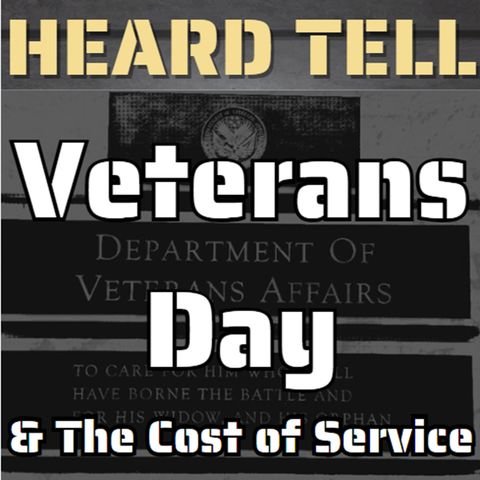 Veterans Day and the Cost of Service