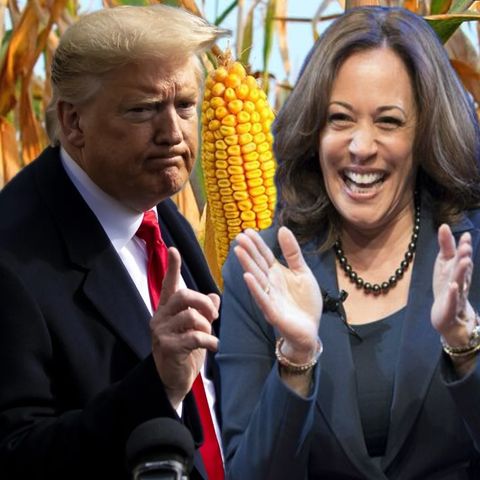 Kamala Harris takes late lead over Trump in Iowa