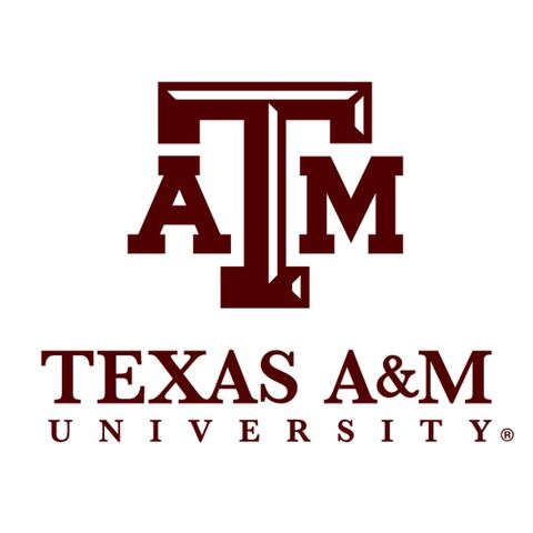 Texas A&M University Update on The Infomaniacs