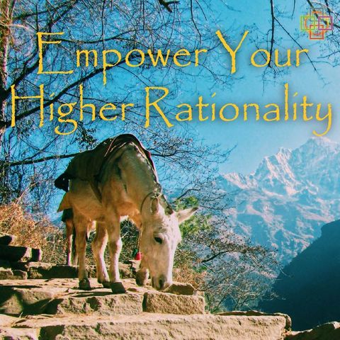 Empower Your Higher Rationality