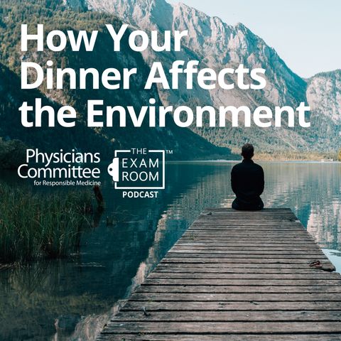 How Your Dinner Affects the Environment