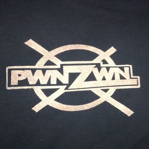 Pwn Zwn-Borderlands VR and Mount and Blade 2