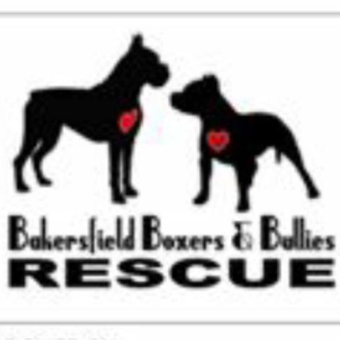 Bakersfield Boxers and Bullies Rescue