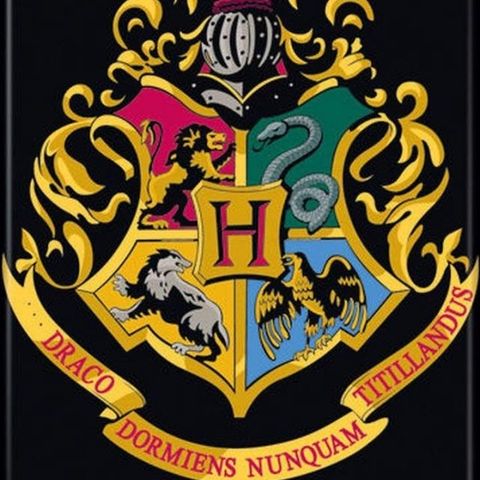 Episode 8: Harry Potter — Hogwarts House Resorting