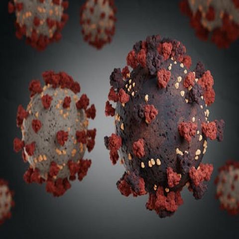 Identifican en Tamaulipas nueva cepa del coronavirus